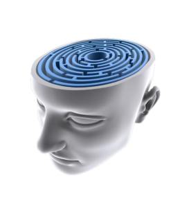 20080828brainmaze