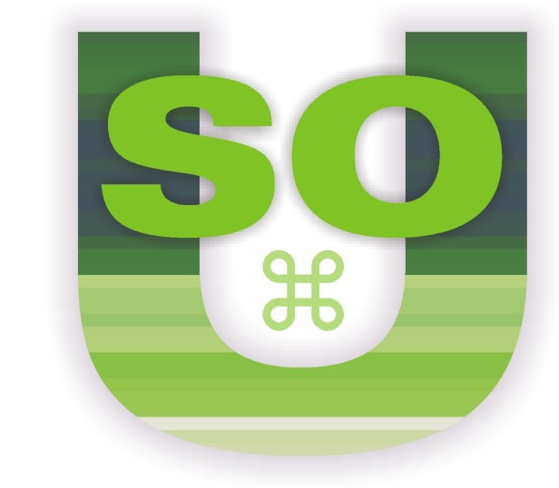 20100404SOU