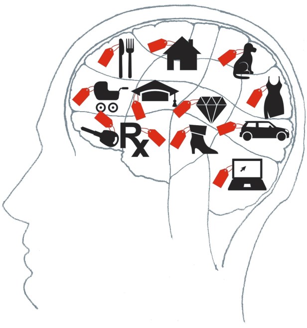 brain-categories